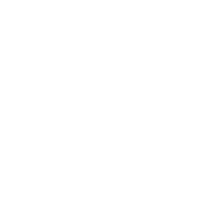 Elcheck Log
