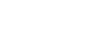 Tiger Brands Logo_RGB_White